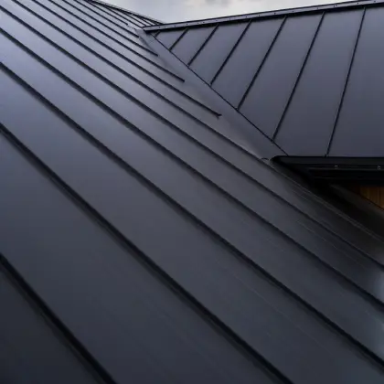 Metal Roofs