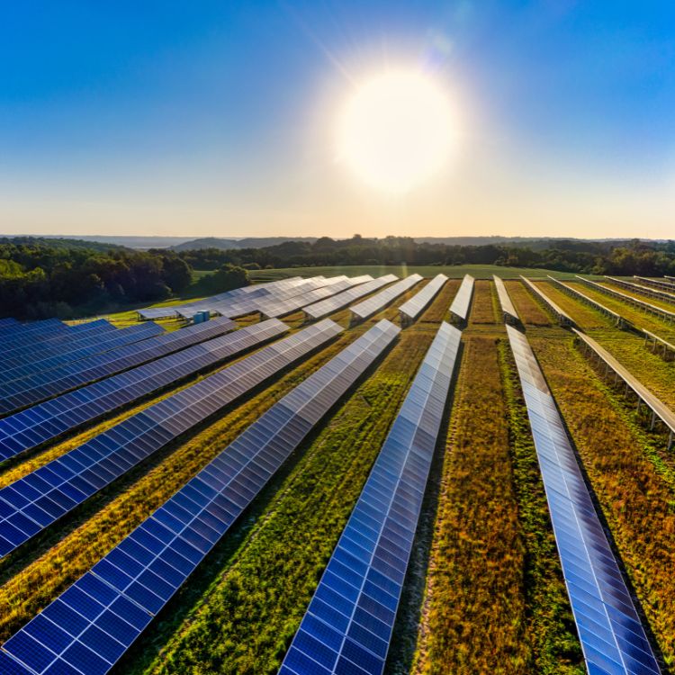 Ground-Mounted Arrays and Solar Farms