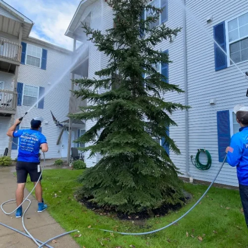 Roof Cleaning Niagara and Erie County