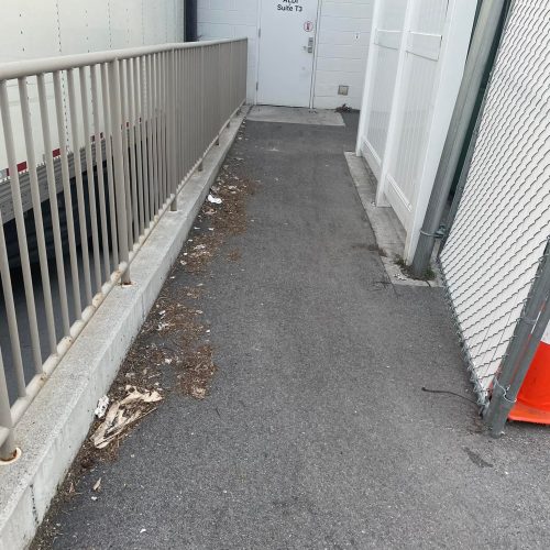 Before