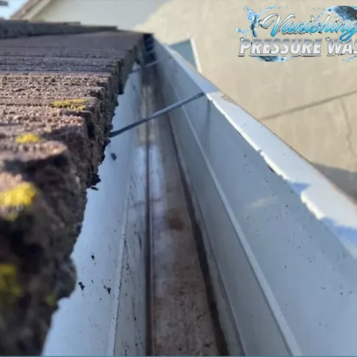 Gutter Cleaning Niagara and Erie County