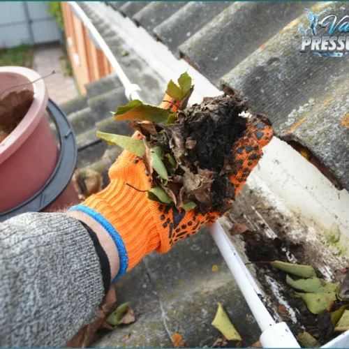 Gutter Cleaning Niagara and Erie County
